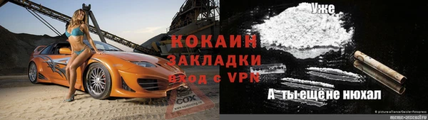 гидра Алексеевка